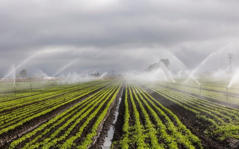 _Tratamento de esgoto na zona rural visando ao reúso agrícola no semiárido brasileiro.